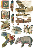 Collection of vintage-style illustrations including a camera, airplanes, animals, and feathers.