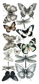 Illustrations of various butterflies and dragonflies on a white background