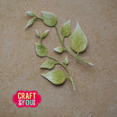 Green leaf cutout on a brown background with 'Craft & You' logo.