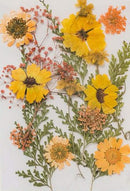 Poppy Crafts Dried Flowers Kit