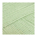 Fiddlesticks Posie Yarn 50g - Nil