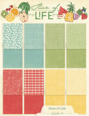 Graphic 45 Patterns & Solids Collection Pack 8.5"x 11" - Slice of Life