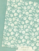 Graphic 45 Patterns & Solids Collection Pack 8.5"x 11" - Slice of Life