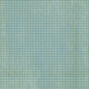 Graphic 45 Wonder Of Oz Double-Sided Cardstock 12"x 12" - Wonder Of Oz