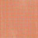 Graphic 45 Wonder Of Oz Pattern & Solid Cardstock 12''x 12'' - Poppy Red
