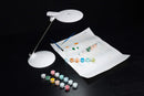 Daylight Halo Go 2 Rechargeable Magnifier Lamp