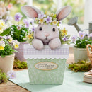 Decorative bunny in a pot with flowers and a 'You're Some Bunny Special' tag, surrounded by plants.
