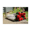 King Cole Yummy Bouquet - Red