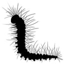 Lavinia Clear Stamp Chistopher Caterpilla Miniature