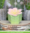 Green gift box with pink floral top on a wooden surface with cacti in the background