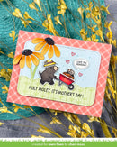 Mother's Day card with a dog and cat in a wheelbarrow, surrounded by yellow flowers.