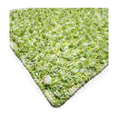 Lily Free Pattern - Sugar'n Cream Cones - Loop Stitch Lawn Rug