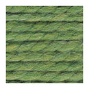 Lion Brand Wool-Ease Thick & Quick Yarn - Grass
