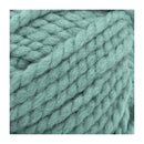 Lion Brand Wool-Ease Thick & Quick Yarn - Succulent