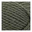 Lion Brand Wool-Ease Thick & Quick Yarn - Seaweed