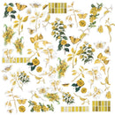 49 And Market Colour Swatch: Ochre Acetate Assortment 64/Pkg*