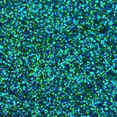 Derivan KindyGlitz 36ml - Pacific Blue