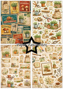 Paper Favourites A5 Single Sided Paper Pack - In the Garden