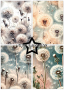 Collage of dandelion designs with 'Paper Favourites' branding.
