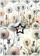 Collage of dandelion illustrations with 'Paper Favourites' branding.