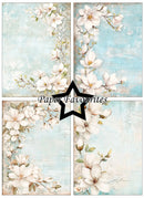 Floral design with white flowers on a light blue background, featuring the brand 'Paper Favourites'.