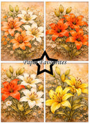 Four floral designs with orange, white, and yellow flowers on a textured background, featuring 'Paper Favourites' branding.