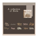 Poppy Crafts Hollow Cut Paper - Manuscript Classics - A Collection of Birds