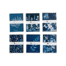 Set of blue and white botanical notebooks with visible branding on a white background