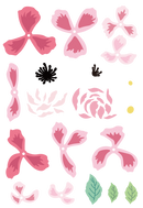 Set of pink floral and leaf designs on a white background