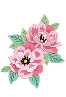 Two pink flowers with green leaves on a white background