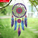 Decorative dreamcatcher with purple and blue feathers hanging outdoors.