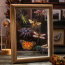 Poppy Crafts Insect Specimens PET Stickers - Butterfly Beetle