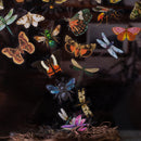 Poppy Crafts Insect Specimens PET Stickers - Butterfly Beetle