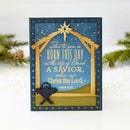 Christmas card with nativity scene and star, featuring text 'For to you is born this day in the city of David a savior, who is Christ the Lord.'.