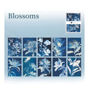 Packaging of floral design with 'Blossoms' text on a blue background