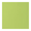 Solid light green color swatch on a white background