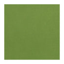 Solid green color swatch on a white background