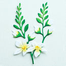 Poppy Crafts Cutting Dies