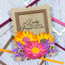 Poppy Crafts Cutting Dies