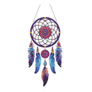 Colorful dreamcatcher with feathers on a white background