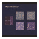 Product packaging with floral patterns and 'Mysterious Lily' branding on a dark background