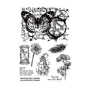 Poppy Crafts Stamps