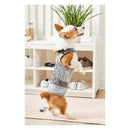 Premier Yarns Free Pattern - Basix Worsted Marl - Dapper Dog Sweater