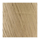 Premier Raffia Yarn - Sage