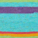Premier Basix Trendy Yarn - Pinata