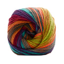 Premier Yarns Colourfusion DK Yarn - Cactus Bloom 100g