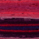 Premier Yarns Colourfusion DK Yarn - Flirtatious 100g