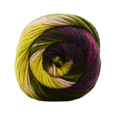 Premier Yarns Colourfusion DK Yarn - Grapevine 100g