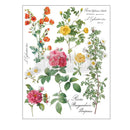 Vintage-style illustration of various flowers with botanical text on a white background