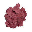 Red floral petals on a white background
